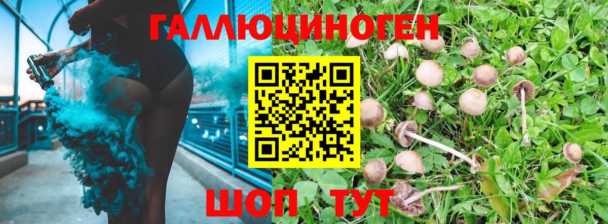 Псилоцибиновые грибы мицелий Пушкино
